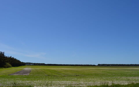 Almina - 1Km from the Sea: Himmel, Blå, Daytime, Græs, Grøn, Naturligt Miljø, Græs-, Horisont, Almindeligt, Økoregion