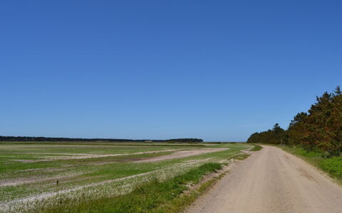 Almina - 1Km from the Sea: Hus, Sommerhus, Tag, Garden Bygninger, Skygge, Skur, Backyard, Udendørs Møbler, Gård, Lawn