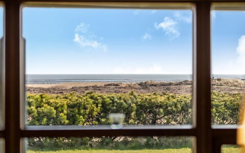 Amundi - 3.8Km from the Sea: Græs, Græs-, Landskab, Økoregion, Almindeligt, Plantesamfund, Land Lot, Udendørs Møbler, Prærie, Shrubland