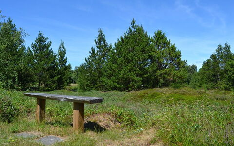 Redward - 1Km from the Sea: Græs, Grøn, Blad, Naturligt Miljø, Natur, Vegetationen, Græs-, Busk, Plantesamfund, Økoregion