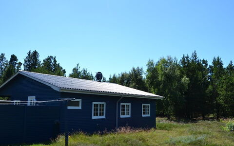 Redward - 1Km from the Sea: Græs, Tag, Hus, Hjem, Sommerhus, Land Lot, Sidespor, Landdistrikt, Dør, Garden Bygninger