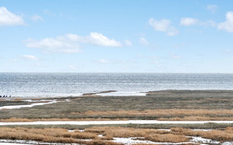Langsom - 100M from the Sea: Blå, Vand, Vandressourcer, Horisont, Økoregion, Hav, Coastal Og Oceaniske Landskabsformer, Marsk