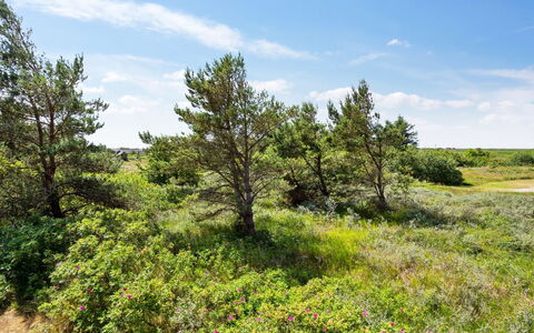 Athalia - 2.4Km from the Sea: Bygning, Hus, Vindue, Hjem, Tag, Boligområde, Busk, Sommerhus, Land Lot