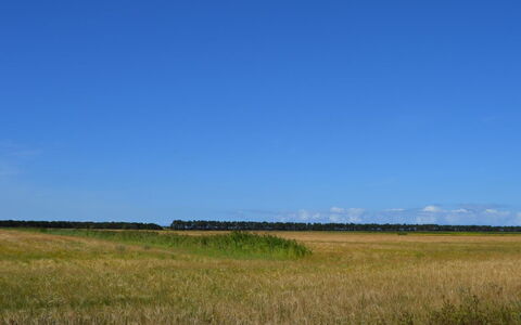 Anna - 1Km from the Sea: Græs, Hus, Tag, Hjem, Sommerhus, Busk, Land Lot, Landdistrikt, Stuehus, Bunddække
