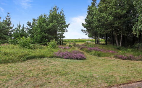 Anna - 1Km from the Sea: Græs, Hus, Tag, Hjem, Sommerhus, Busk, Land Lot, Landdistrikt, Stuehus, Bunddække