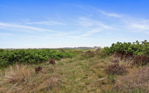 Reija - 2.3Km from the Sea: Himmel, Blå, Græs, Grøn, Naturligt Miljø, Græs-, Vegetationen, Økoregion, Naturlige Landskab, Plantesamfund