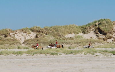 Reija - 2.3Km from the Sea