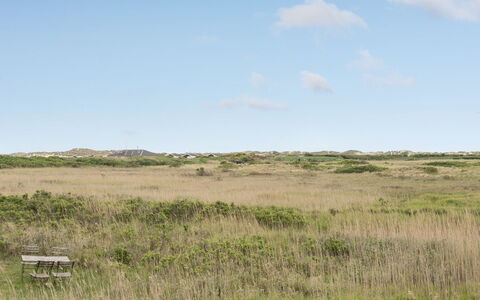 Sybilla - 700M from the Sea: 