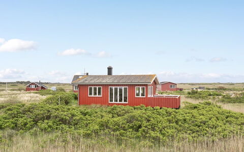 Sybilla - 700M from the Sea: 