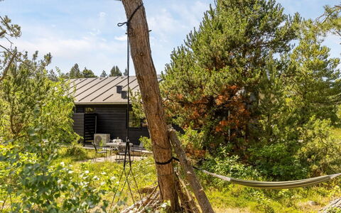 Turkka - 3.8Km from the Sea: Træ, Blad, Afdeling, Naturligt Miljø, Græs, Træ, Vegetationen, Land Lot, Plantesamfund, Bagagerum