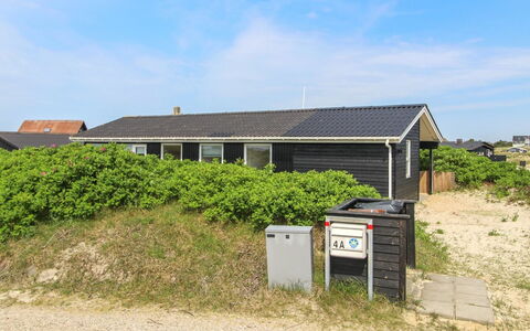 Kris - 200M from the Sea: Plantesamfund, Sollys, Urteagtig Plante, Have, Plantation, Landbrug, Farm