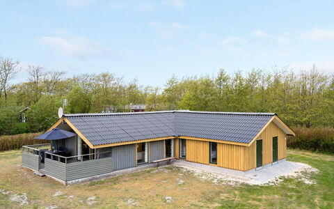 Arona - 1.5Km from the Sea: Plantesamfund, Sollys, Urteagtig Plante, Have, Plantation, Landbrug, Farm