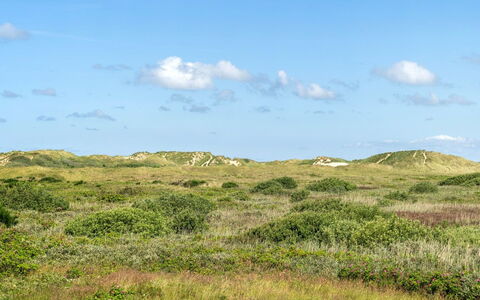 Ortwin - 300M from the Sea: Græs, Hus, Tag, Hjem, Sommerhus, Busk, Land Lot, Landdistrikt, Stuehus, Bunddække