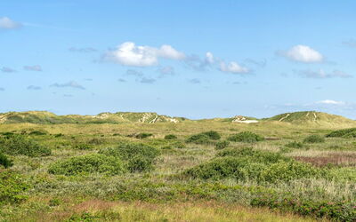 Ortwin - 300M from the Sea