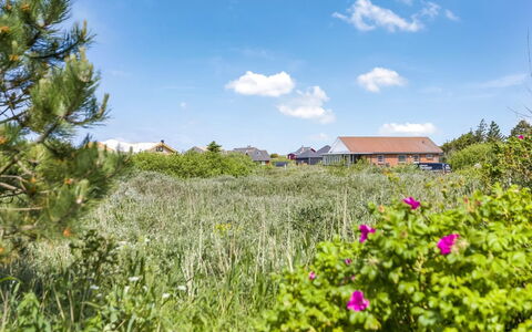 Winald - 500M from the Sea: Græs, Hus, Tag, Hjem, Sommerhus, Busk, Land Lot, Landdistrikt, Stuehus, Bunddække