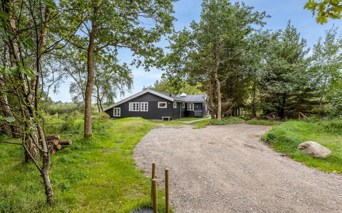 Waldemar - 3.4Km from the Sea: Græs, Græs-, Landskab, Økoregion, Almindeligt, Plantesamfund, Land Lot, Udendørs Møbler, Prærie, Shrubland