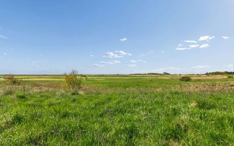 Maarit - 2.3Km from the Sea: Himmel, Blå, Daytime, Grøn, Græs, Græs-, Naturligt Miljø, Sky, Økoregion, Naturlige Landskab