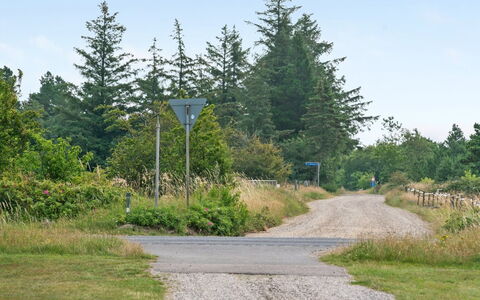 Gwen - 2.7Km from the Sea: Himmel, Træ, Græs, Blad, Vej, Vejbelægning, Vegetationen, Naturlige Landskab, Busk