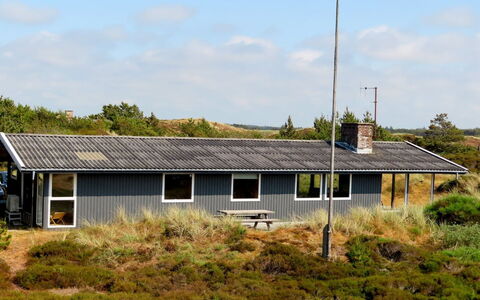 Elsa - 700M from the Sea: Plantesamfund, Sollys, Urteagtig Plante, Have, Plantation, Landbrug, Farm