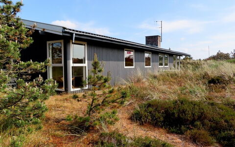 Elsa - 700M from the Sea: Plantesamfund, Sollys, Urteagtig Plante, Have, Plantation, Landbrug, Farm