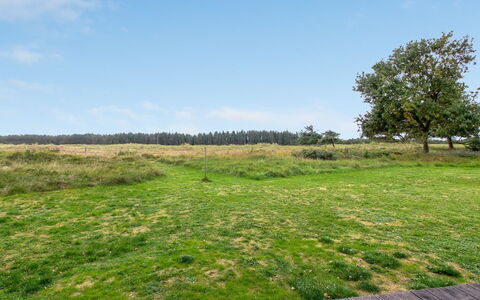 Tuulikki - 1.6Km from the Sea: Tag, Hus, Hjem, Sommerhus, Sidespor, Estate, Indkørsel, Garden Bygninger, Gård, Skur