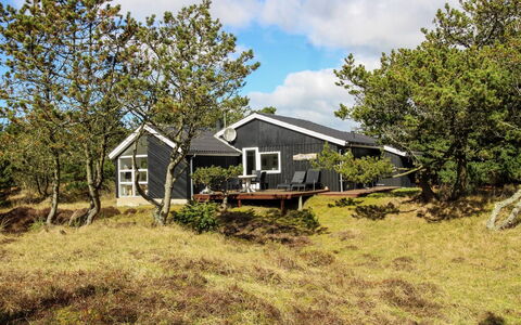 Glady - 500M from the Sea: Plantesamfund, Sollys, Urteagtig Plante, Have, Plantation, Landbrug, Farm