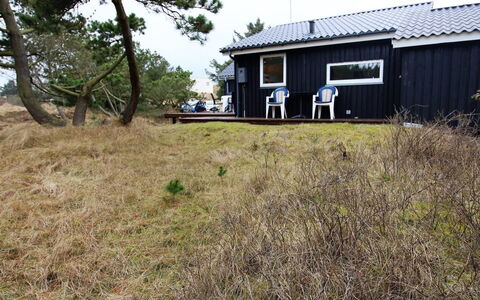 Glady - 500M from the Sea: Græs, Hus, Land Lot, Sommerhus, Hjem, Tag, Landdistrikt, Eng, Garden Bygninger, Estate