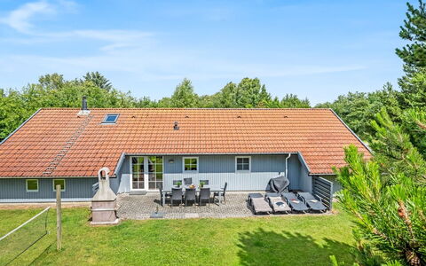 Gunvald - 2Km to the Fjord: Plantesamfund, Sollys, Urteagtig Plante, Have, Plantation, Landbrug, Farm