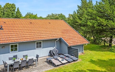 Gunvald - 2Km to the Fjord: Plantesamfund, Sollys, Urteagtig Plante, Have, Plantation, Landbrug, Farm