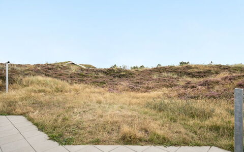 Tennie - 300M from the Sea: Græs, Økoregion, Græs-, Plantesamfund, Brun, Land Lot, Shrubland, Steppe, Prærie, Chaparral