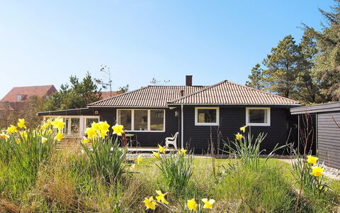 Dane - 500M from the Sea: Tag, Hus, Land Lot, Hjem, Sommerhus, Estate, Garden Bygninger, Skygge, Bjælkehytte, Landscaping
