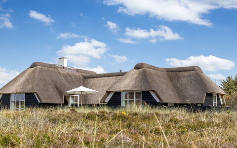 Rother - 100M from the Sea: Hus, Sommerhus, Tag, Garden Bygninger, Skygge, Skur, Backyard, Udendørs Møbler, Gård, Lawn