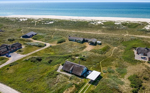 Klimentina - 150M from the Sea: Plantesamfund, Sollys, Urteagtig Plante, Have, Plantation, Landbrug, Farm