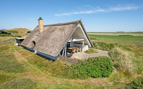 Klimentina - 150M from the Sea: Plantesamfund, Sollys, Urteagtig Plante, Have, Plantation, Landbrug, Farm