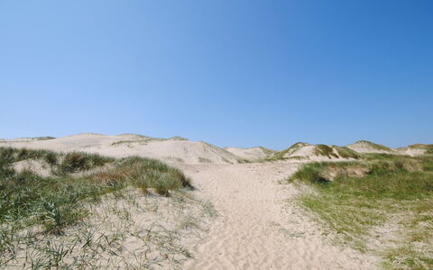 Gundine - from the Sea: Busk, Urban Design, Bunddække, Mursten, Lejlighed, Estate, Murværk, Altan, Landscaping