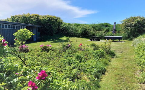 Gottfreda - 330M to the Fjord: Himmel, Busk, Sky, Land Lot, Have, Bunddække, Eng, Plantation, Lawn