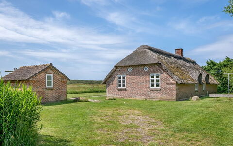 Vangja - 700M to the Fjord: Græs, Hus, Tag, Hjem, Sommerhus, Busk, Land Lot, Landdistrikt, Stuehus, Bunddække
