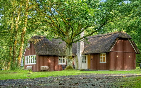 Fina - 15Km from the Sea: Sommerhus, Hjem, Hus, Tag, Veranda, Estate, Sidespor, Garden Bygninger, Stuehus, Gård
