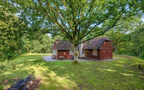 Fina - 15Km from the Sea: Sommerhus, Hjem, Hus, Tag, Veranda, Estate, Sidespor, Garden Bygninger, Stuehus, Gård