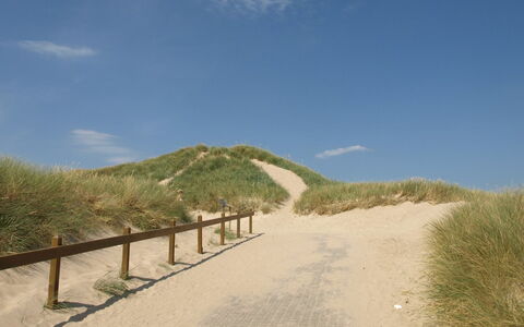 Agga - 200M from the Sea: Økoregion, Landskab, Sti, Sand, Hældning, Walkway, Jord