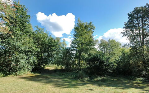 Borica - 100M from the Sea: Bygning, Hus, Vindue, Hjem, Tag, Boligområde, Busk, Sommerhus, Land Lot
