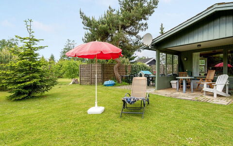 Odstanus - 575M from the Sea: Busk, Sommerhus, Have, Lawn, Land Lot, Gård, Skygge, Garden Bygninger, Backyard, Landscaping