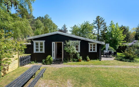 Carly - 100M from the Sea: Sommerhus, Have, Sidespor, Garden Bygninger, Skygge, Gård, Backyard, Lawn, Stuehus, Landscaping