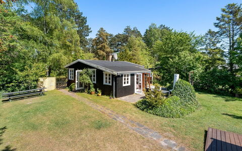 Carly - 100M from the Sea: Græs, Hus, Tag, Hjem, Sommerhus, Busk, Land Lot, Landdistrikt, Stuehus, Bunddække
