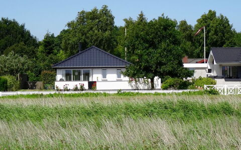 Mayla - 50M from the Sea: Plantesamfund, Sollys, Urteagtig Plante, Have, Plantation, Landbrug, Farm