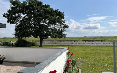 Mayla - 50M from the Sea: Lawn, Have, Skygge, Landscaping, Gård, Hegn, Backyard, Udendørs Møbler, Home Fencing, Walkway