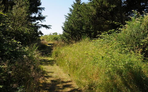 Kalv - 75M from the Sea: Boligområde, Tag, Forstad, Indkørsel, Estate, Skorsten