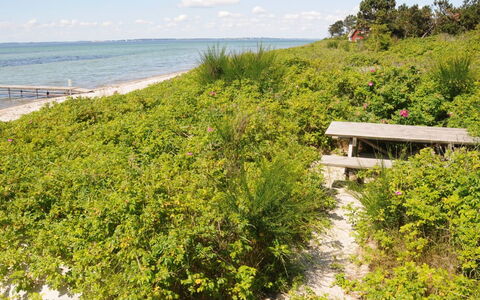 Kalv - 75M from the Sea: Boligområde, Tag, Forstad, Indkørsel, Estate, Skorsten