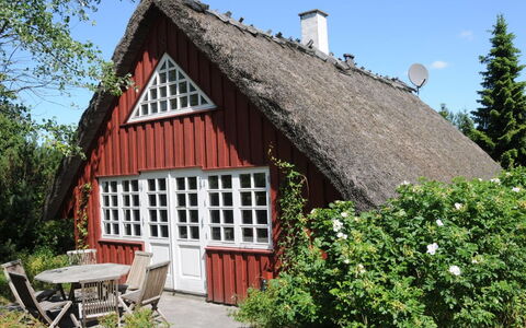 Kalv - 75M from the Sea: Boligområde, Tag, Forstad, Indkørsel, Estate, Skorsten