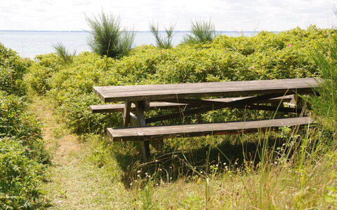Kalv - 75M from the Sea: Boligområde, Tag, Forstad, Indkørsel, Estate, Skorsten